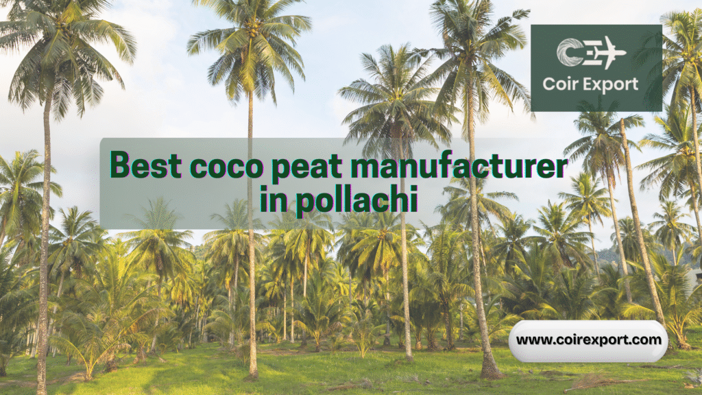 best-coco-peat-manufacturer-in-pollachi